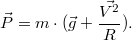 $$\vec{P} = m\cdot (\vec{g} + \frac{\vec{V^2}}{R}).$$